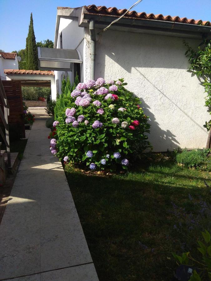 Nebo Apartment Poreč